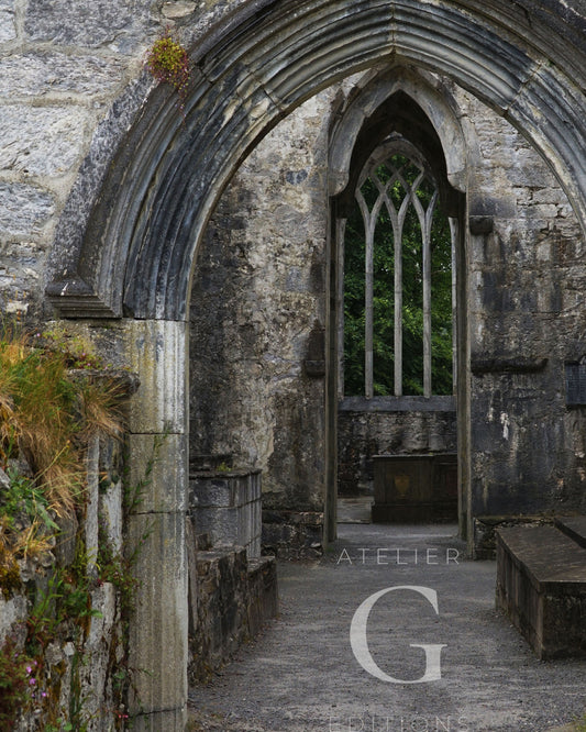 Gothic Archway at Muckross Abbey Digital Download