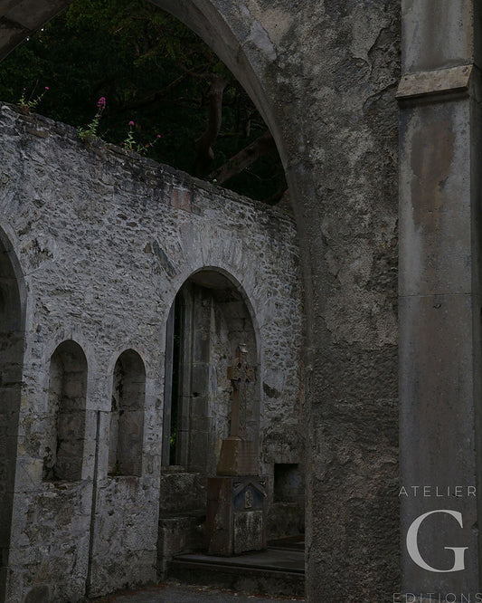 Muckross Abbey Digital Download